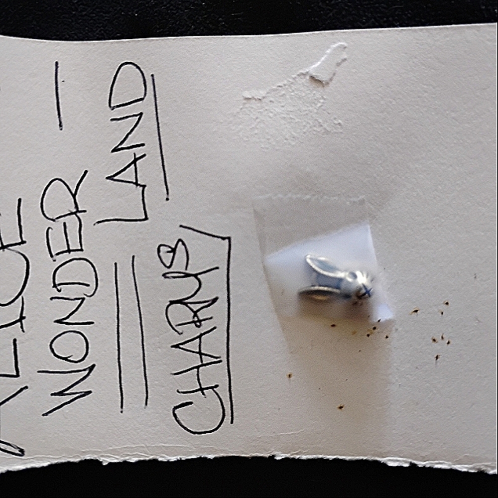 Silver Bunny Charm